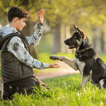 perros Trucos Divertidos